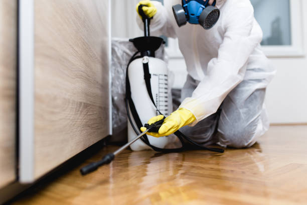 Best Termite Control Services  in Bradley Beach, NJ