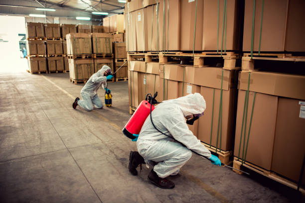Best Flea Control Services  in Bradley Beach, NJ