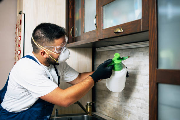 Best Wildlife Control Services  in Bradley Beach, NJ