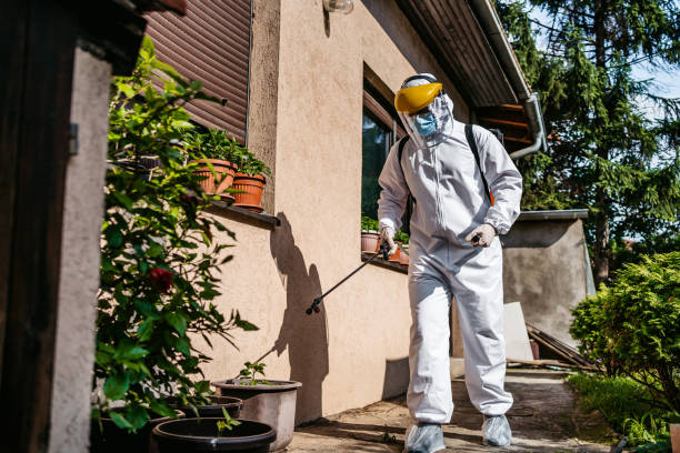 Best Pest Removal Services  in Bradley Beach, NJ
