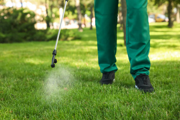 Best Flea Control Services  in Bradley Beach, NJ