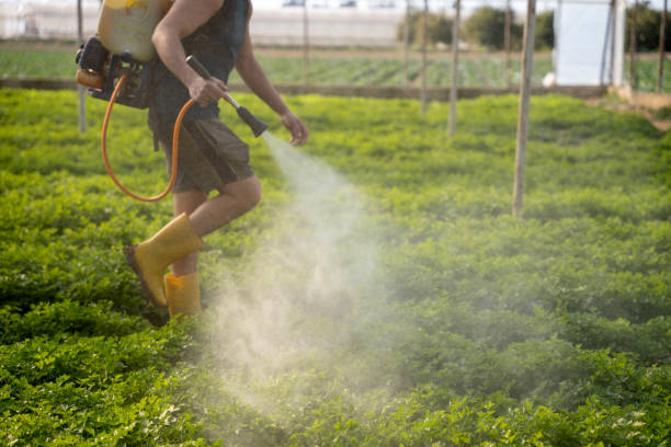 Best Local Pest Control Services  in Bradley Beach, NJ