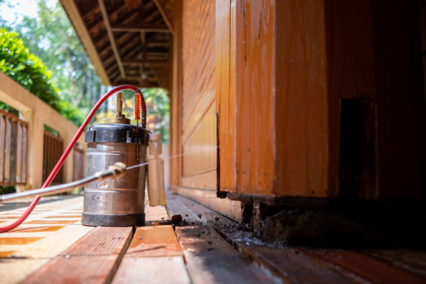 Best Ant Control Services  in Bradley Beach, NJ